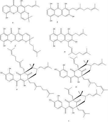 Naturally occurring benzophenones and xanthones from Garcinia smeathmannii (Planch. & Triana) Oliv. displayed anti-inflammatory effects by modulating the activities of inflammatory mediators in LPS-stimulated RAW 264.7 macrophages